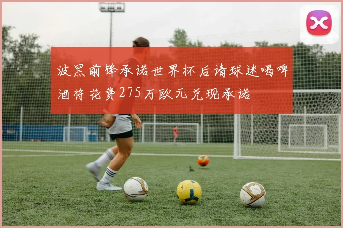 波黑前锋承诺世界杯后请球迷喝啤酒将花费275万欧元兑现承诺